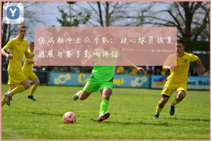 伤病潮冲击公牛队：核心球员恢复进展与赛季影响评估